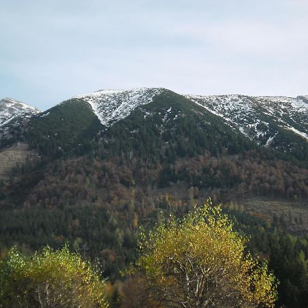 Ferienwohnung Oetscherwiese Lackenhof Εξωτερικό φωτογραφία
