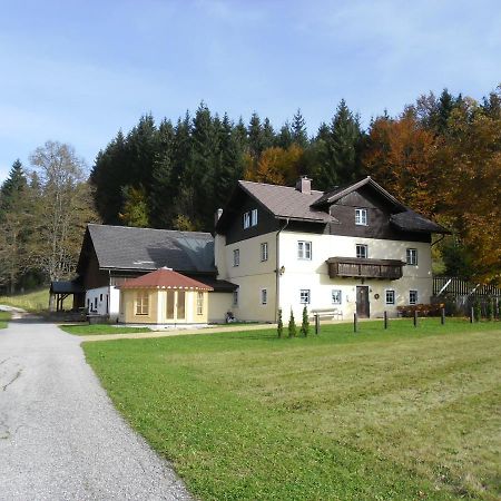Ferienwohnung Oetscherwiese Lackenhof Εξωτερικό φωτογραφία