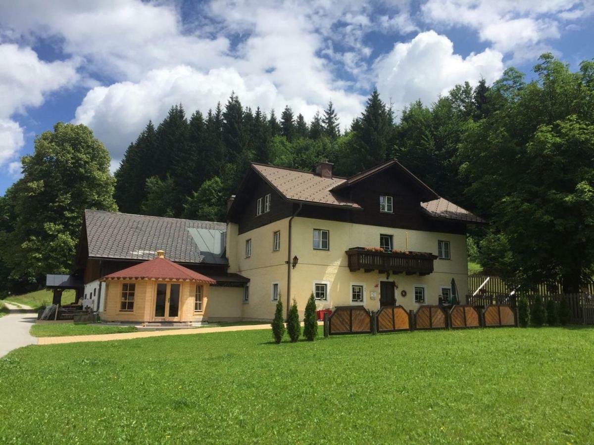 Ferienwohnung Oetscherwiese Lackenhof Εξωτερικό φωτογραφία