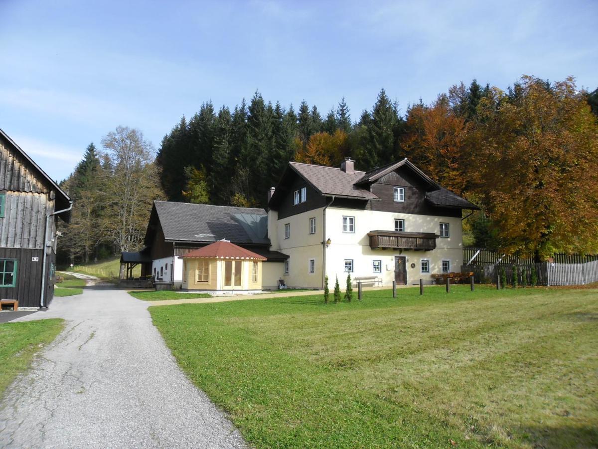 Ferienwohnung Oetscherwiese Lackenhof Εξωτερικό φωτογραφία